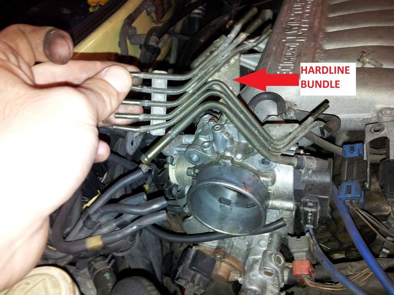 File:Vaccum hose reduction-5.jpg